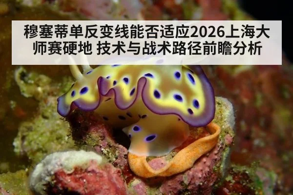 穆塞蒂单反变线能否适应2026上海大师赛硬地 技术与战术路径前瞻分析
